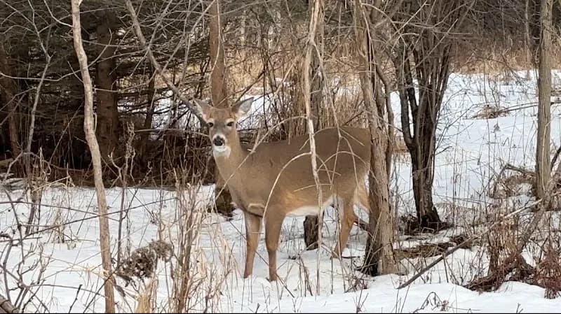 View of Lynde Shores Conservation Area in Oshawa, ON