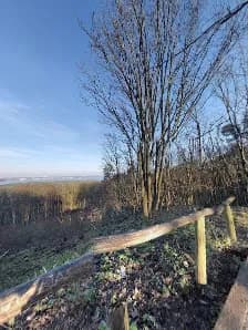 View of Müggelberge in Müggelsberge, BE