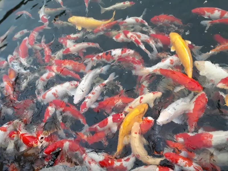 View of Mê Linh Family Restaurant in Mê Linh, HN