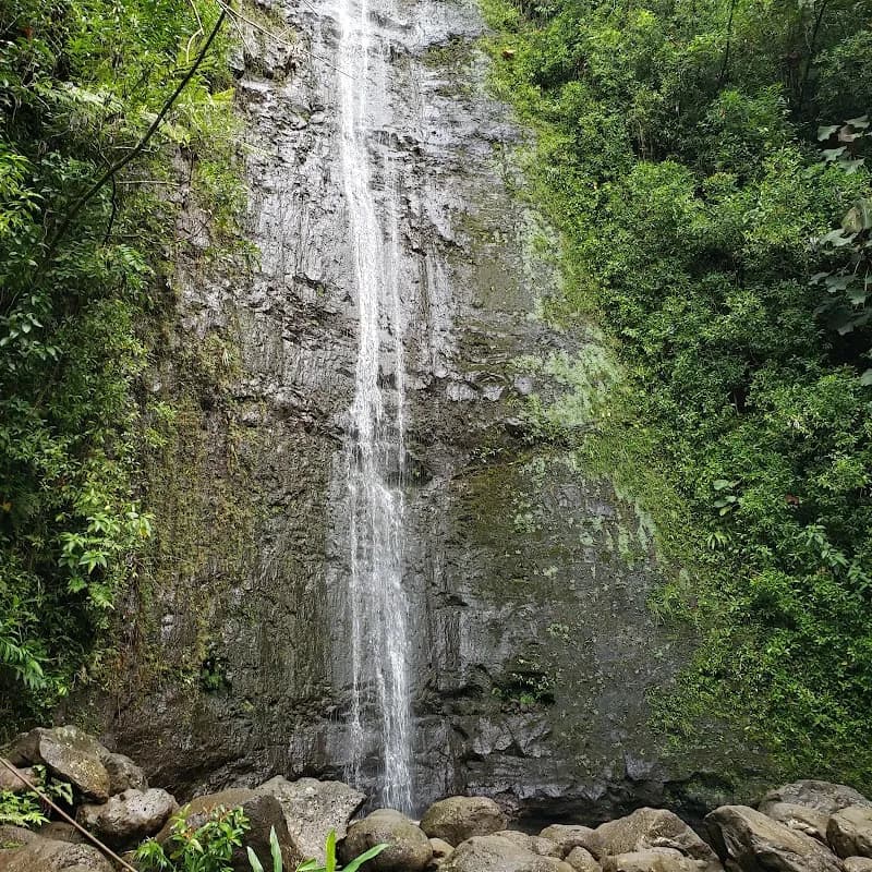 Mānoa Falls Trail hiking area in Oahu, HI