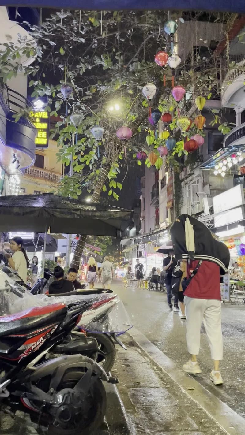 View of Đầm Sen Park (Đầm Sen Water Park) in Ba Đình, HN