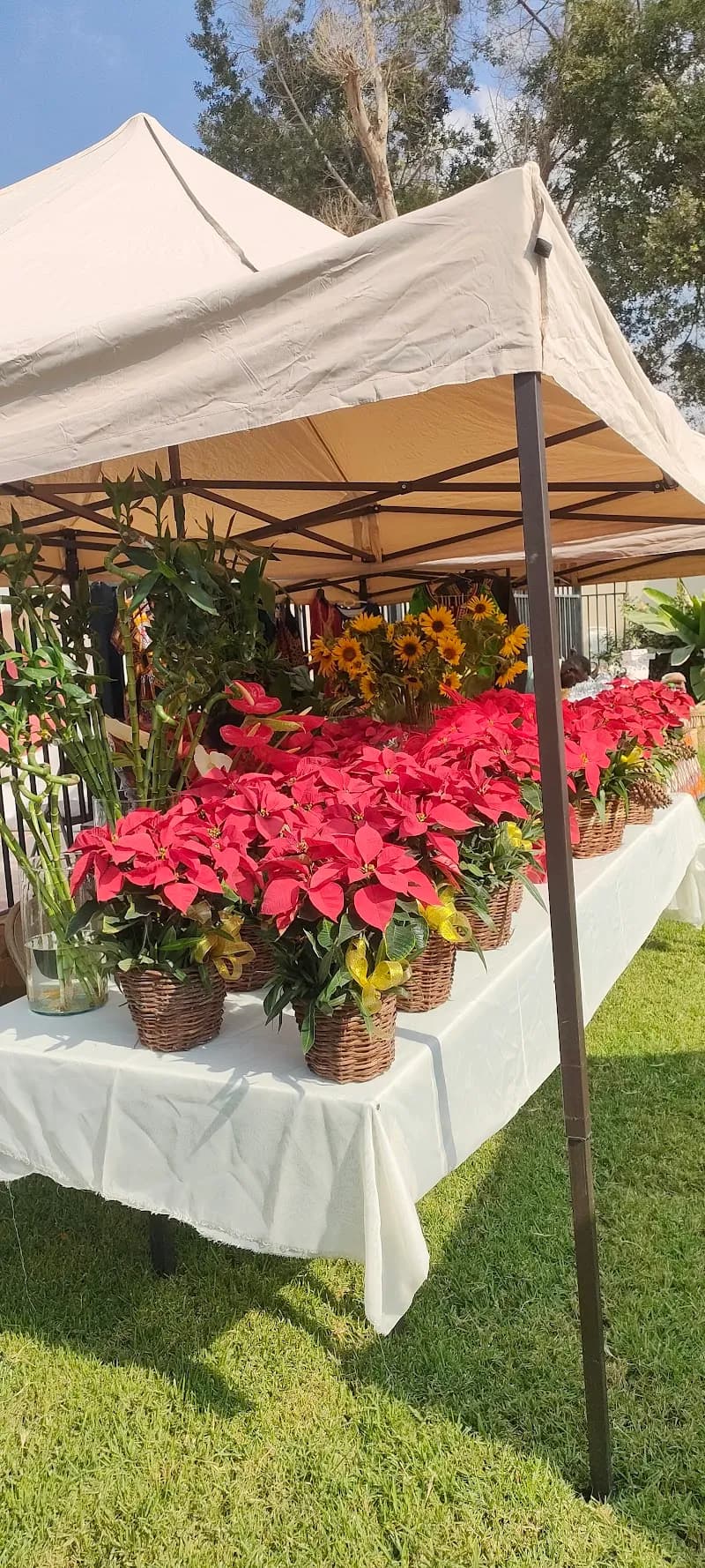 View of Maadi House in Maadi, Cairo