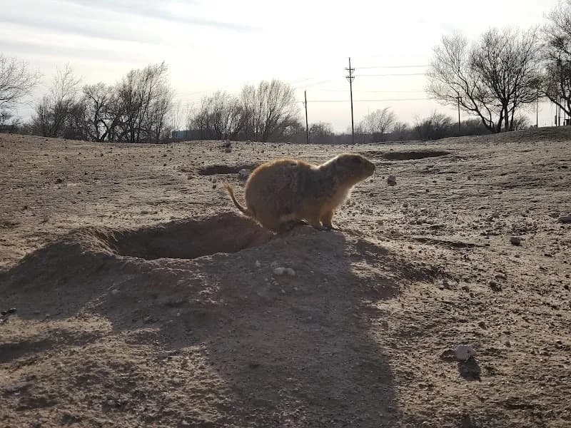 View of Mackenzie Main City Park in Lubbock, TX