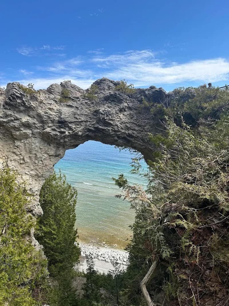 Mackinac Island Carriage Tours tour agency in Mackinac Island, MI