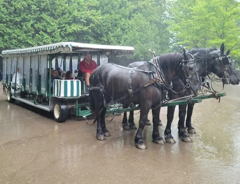 View of Mackinac Island Carriage Tours in Mackinac Island, MI