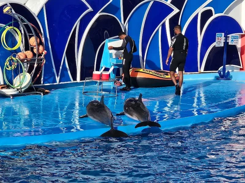 View of Magic Land in Giza, Cairo