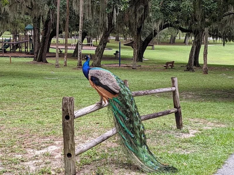 View of Magnolia Park in Apopka, FL
