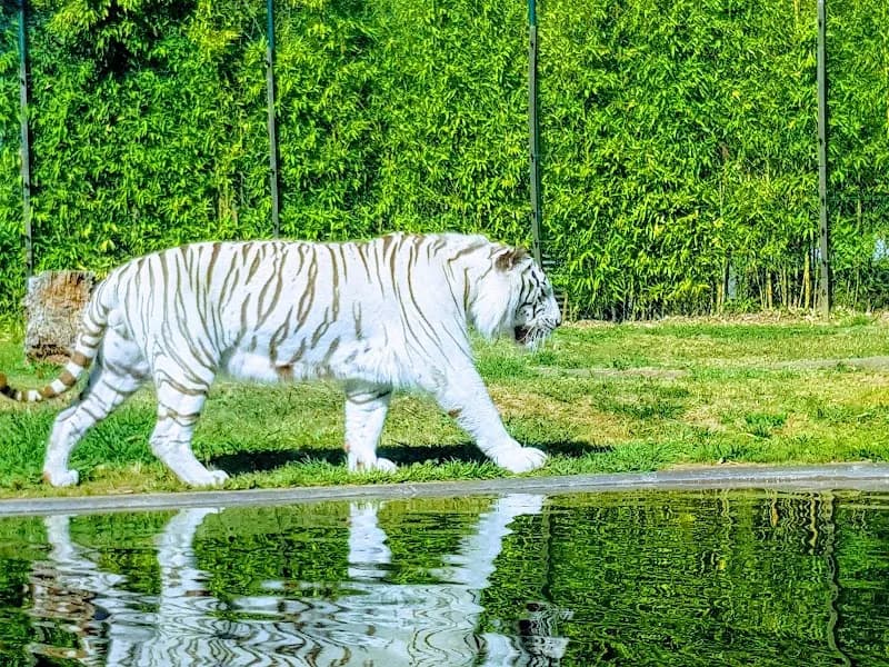 Maia Zoo zoo in Vila Nova de Gaia, Porto