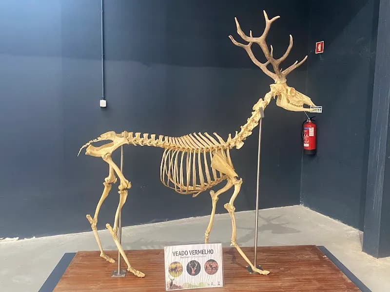 View of Maia Zoo in Vila Nova de Gaia, Porto