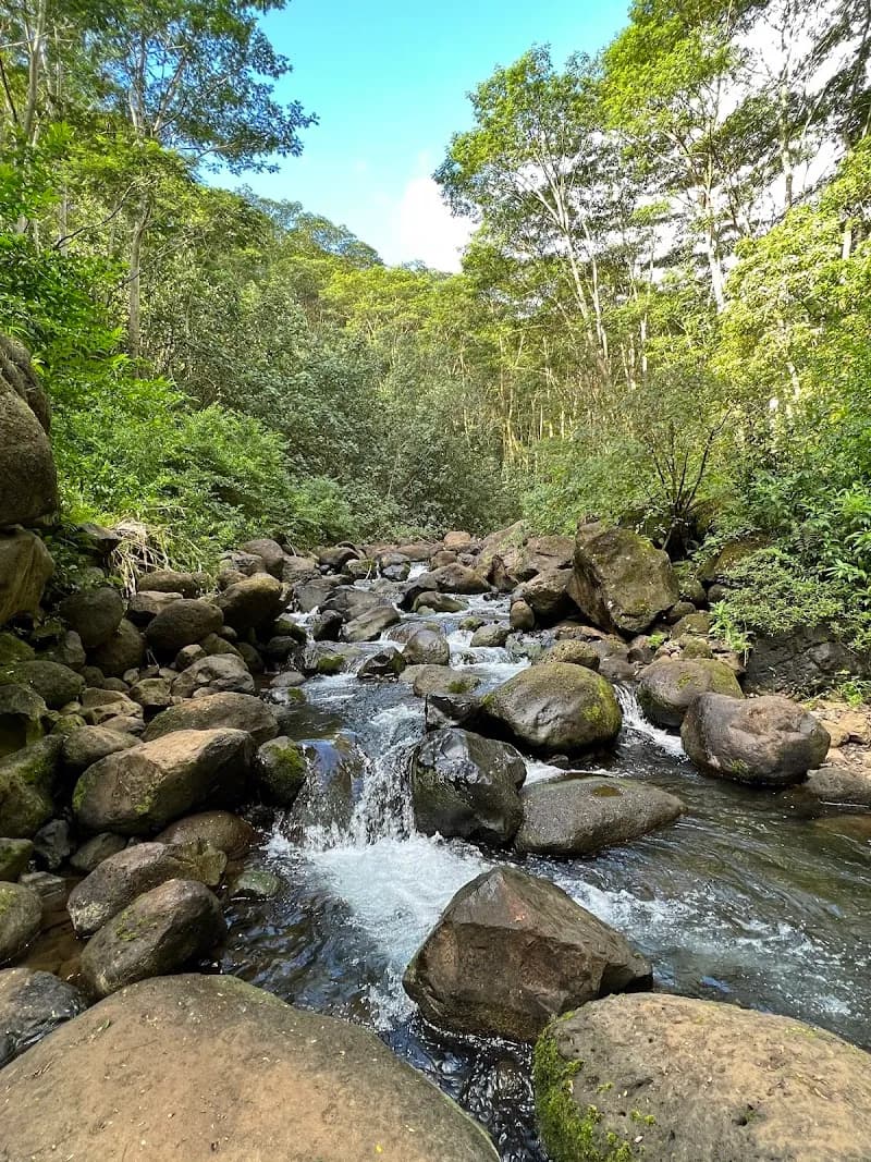 View of Makaleha Trailhead in Kauai, HI