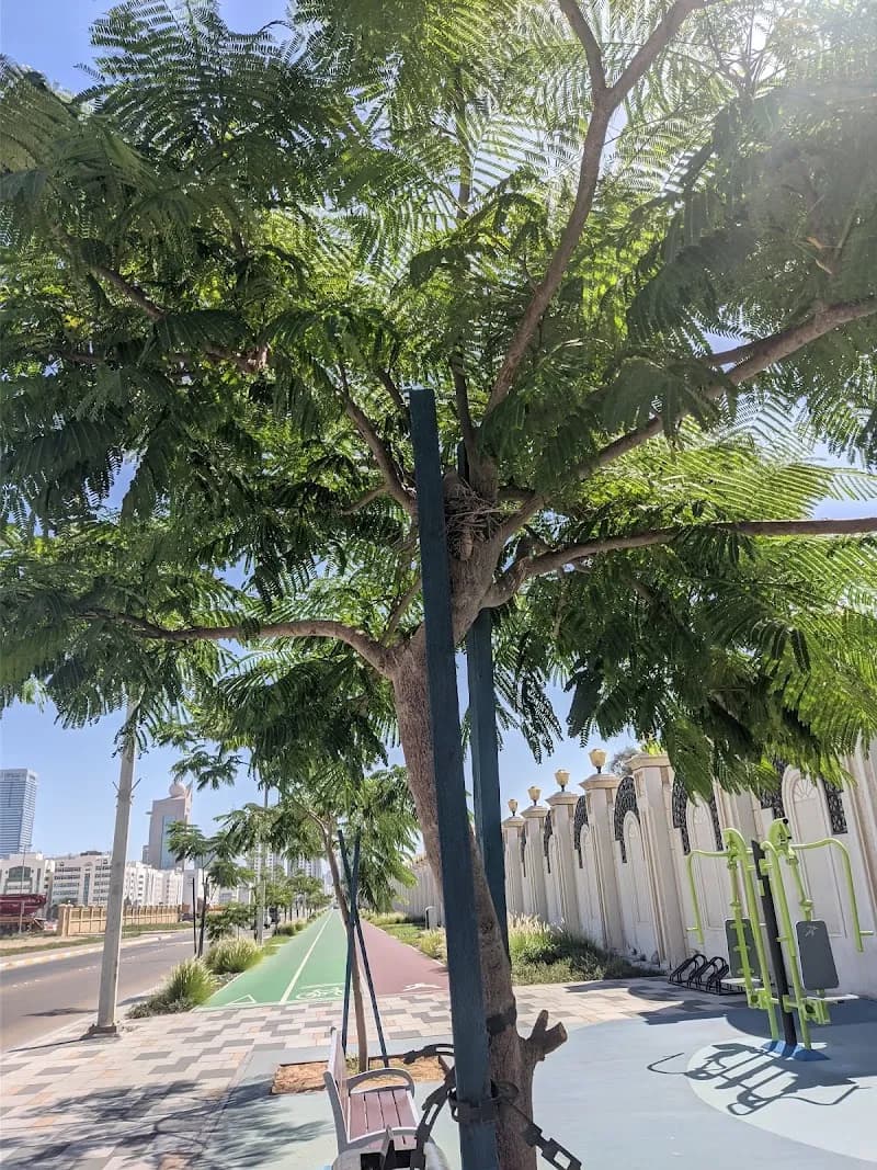 View of Mamoura Cycling Track in Mamoura, Abu Dhabi