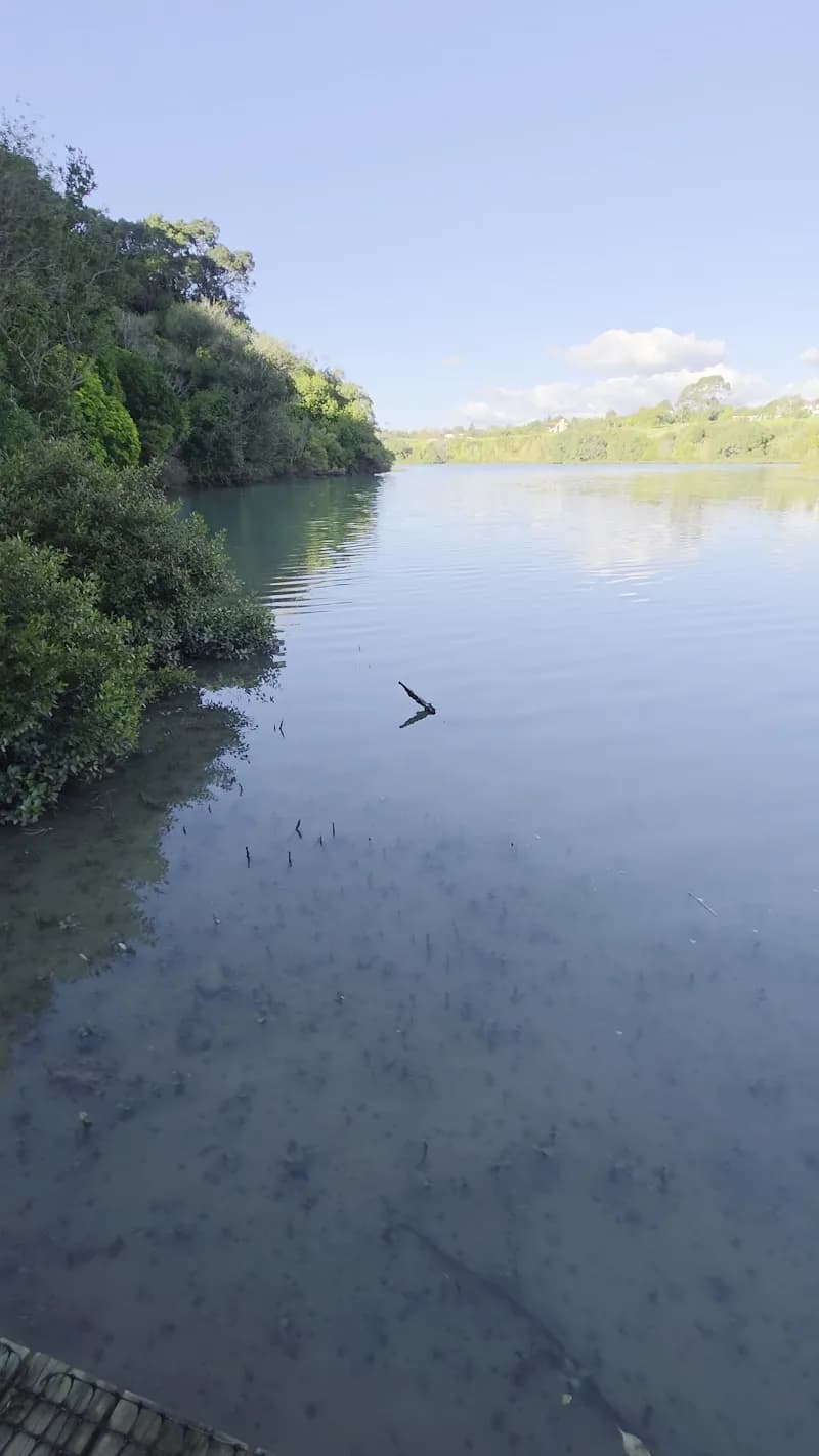 View of Mangemangeroa Reserve in Howick, AKL