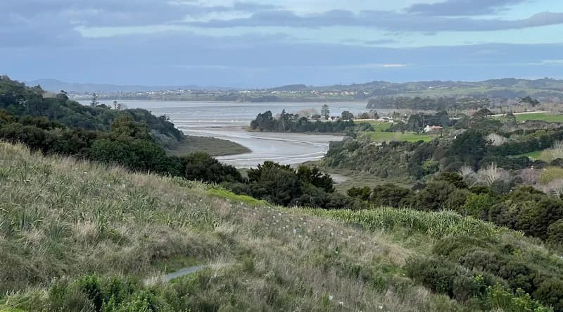 View of Mangemangeroa Reserve in Howick, AKL