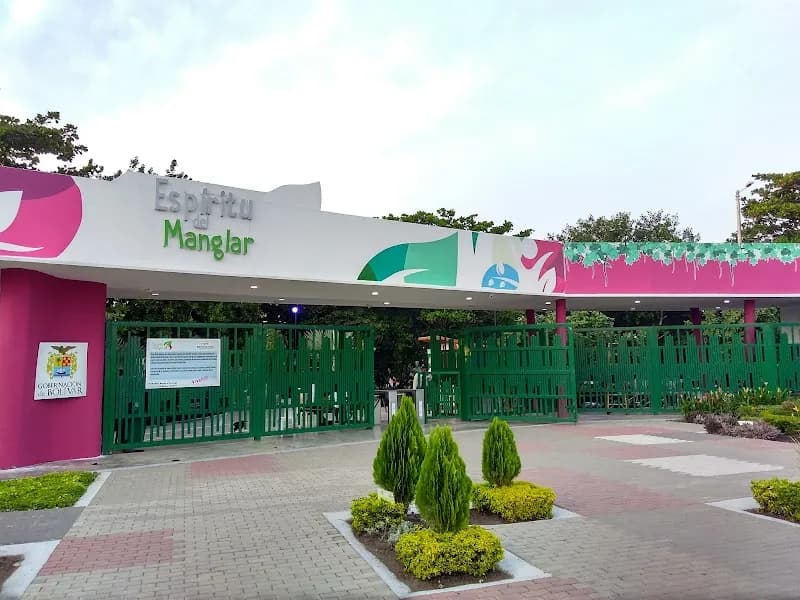 Mangrove Swamp Tours nature in Cartagena, BOL