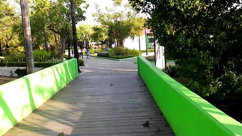 View of Mangrove Swamp Tours in Cartagena, BOL