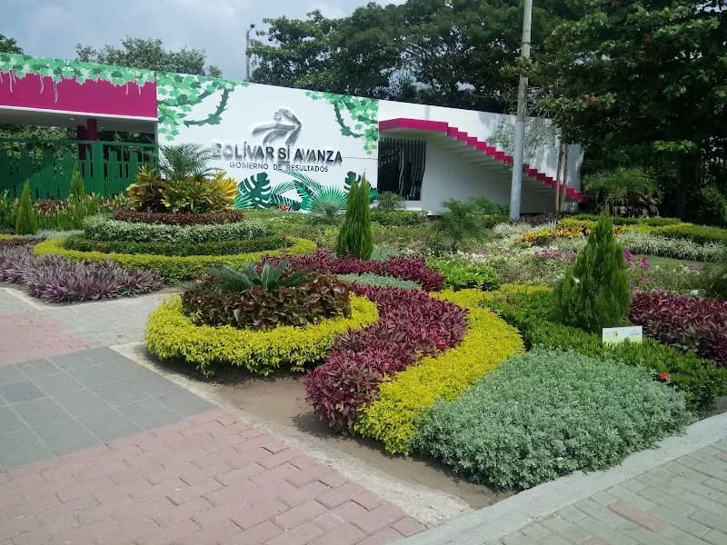 View of Mangrove Swamp Tours in Cartagena, BOL