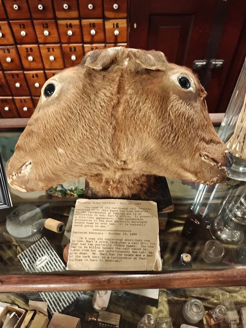 View of Manistee County Historical Museum in Manistee, MI