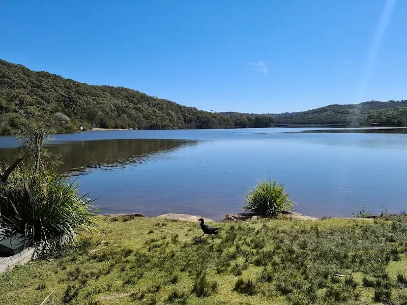View of Manly Dam in Manly, NSW
