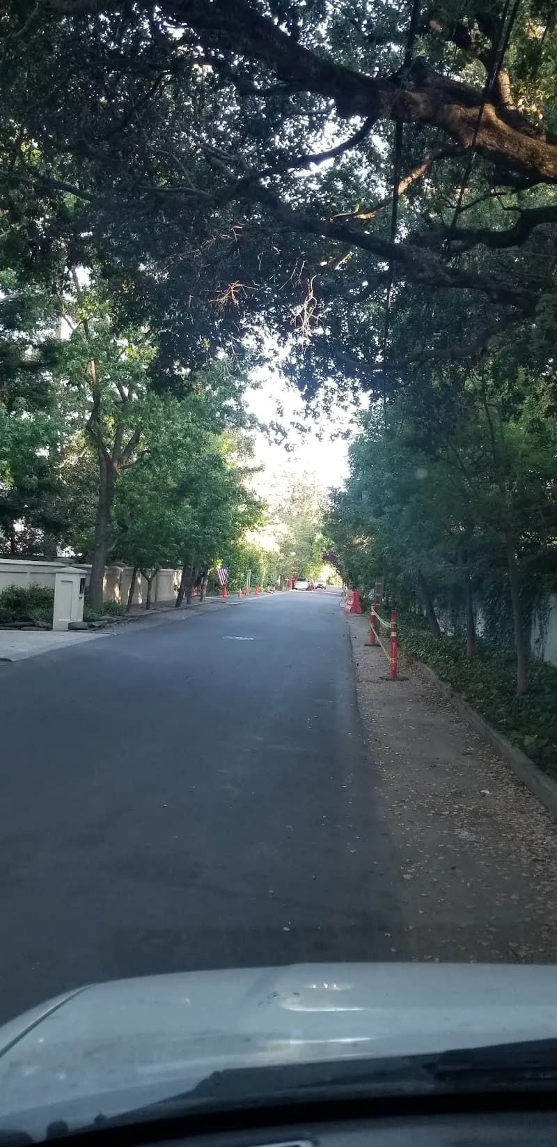 View of Maple Street in Redwood City, CA