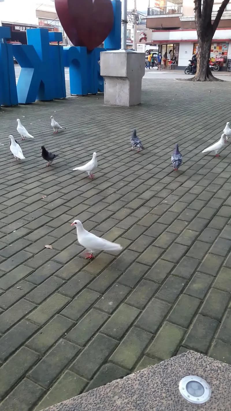 View of Marikina Freedom Park in Antipolo, NCR