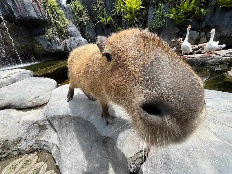 View of Marine Safari Bali in Bali, BA