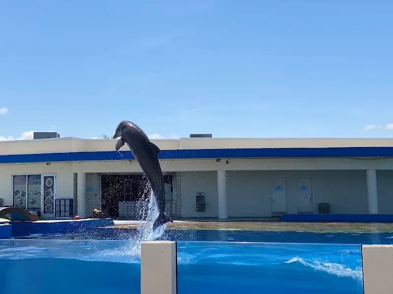 View of Marineland Dolphin Adventure in St. Augustine, FL