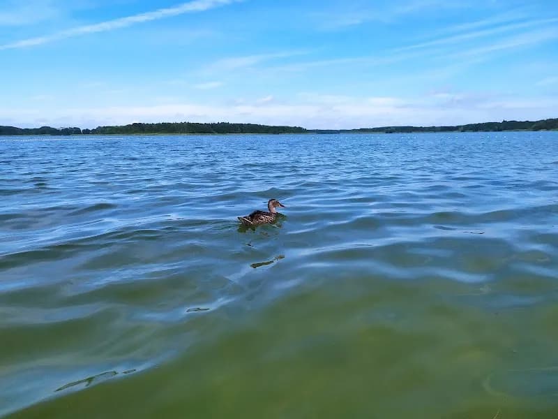 View of Mario beach Werder Müller in Werder, BB