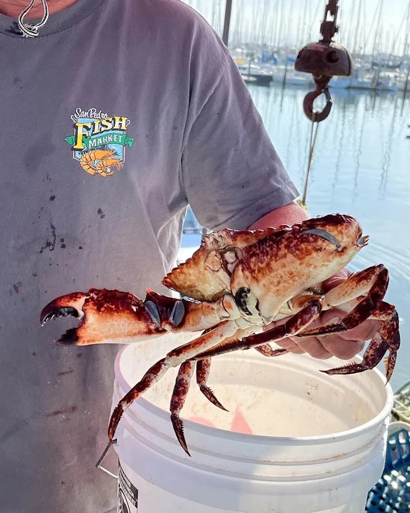 View of Market Forays in Santa Barbara, CA