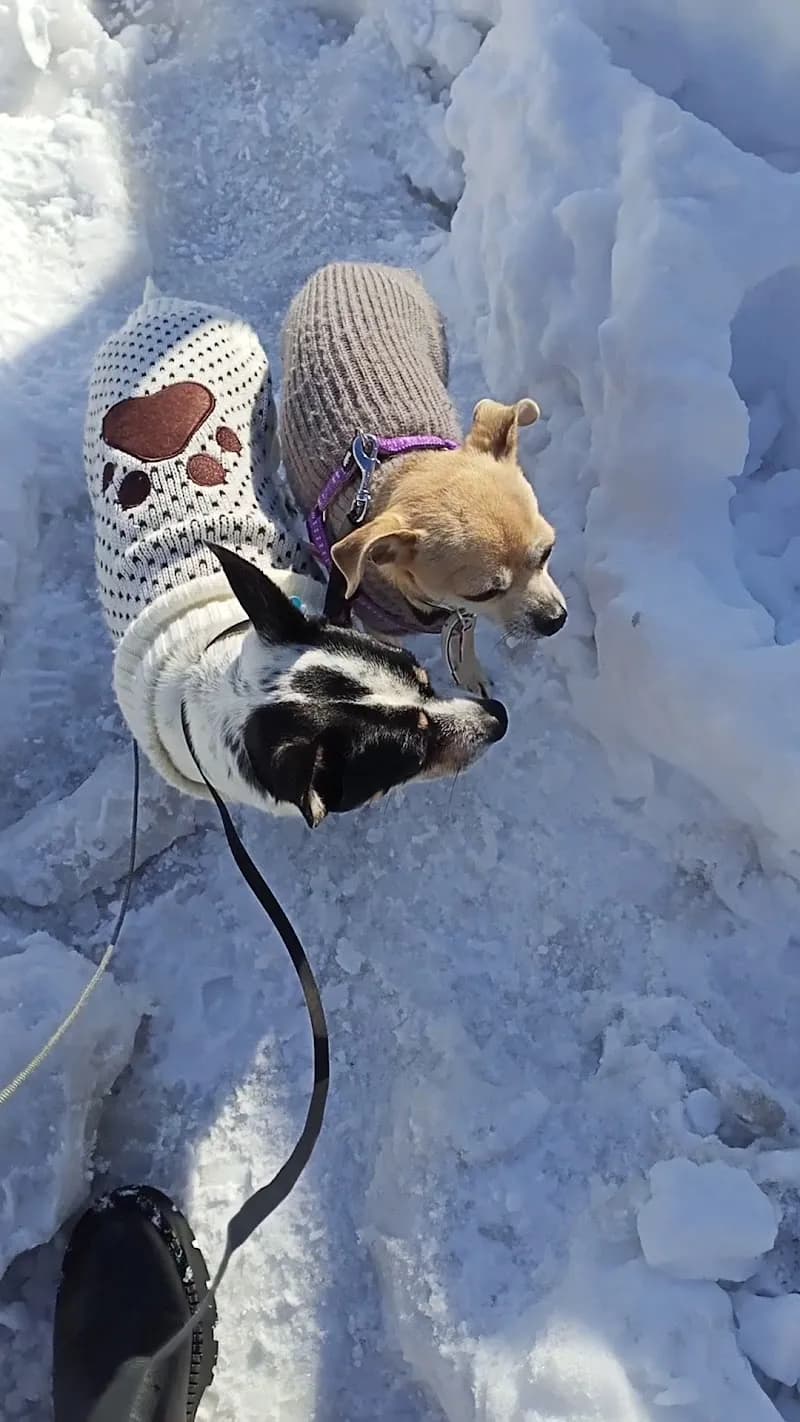 View of Market In (Λ. ΜΑΡΑΘΩΝΟΣ 50 ΠΑΛΛΗΝΗ) in Pallini, AT