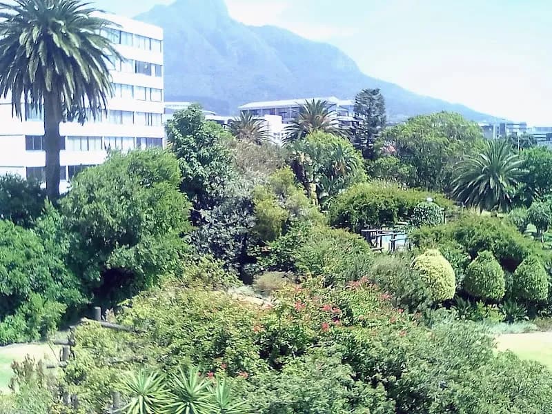 View of Marlborough Park in Claremont, WC