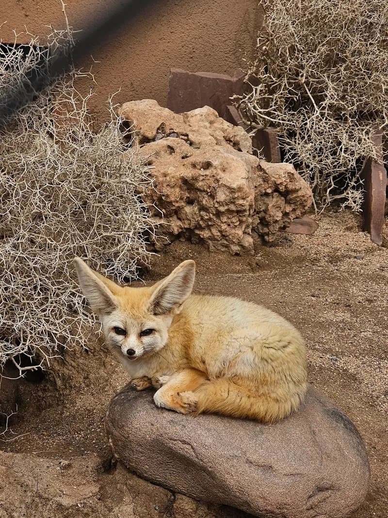 View of Marrakech Zoo in Marrakech, MRK