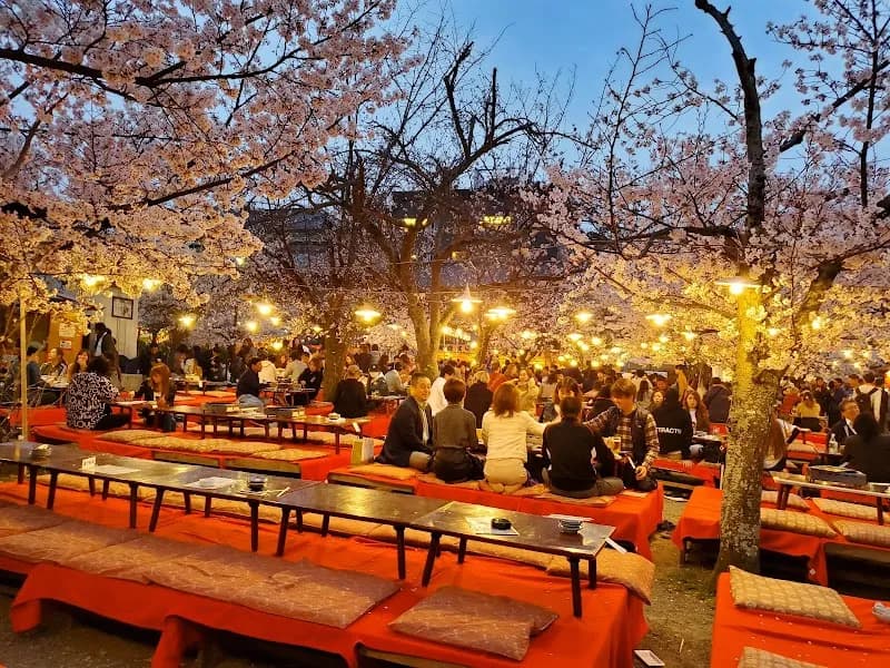 View of Maruyama Park in Kyoto, KT
