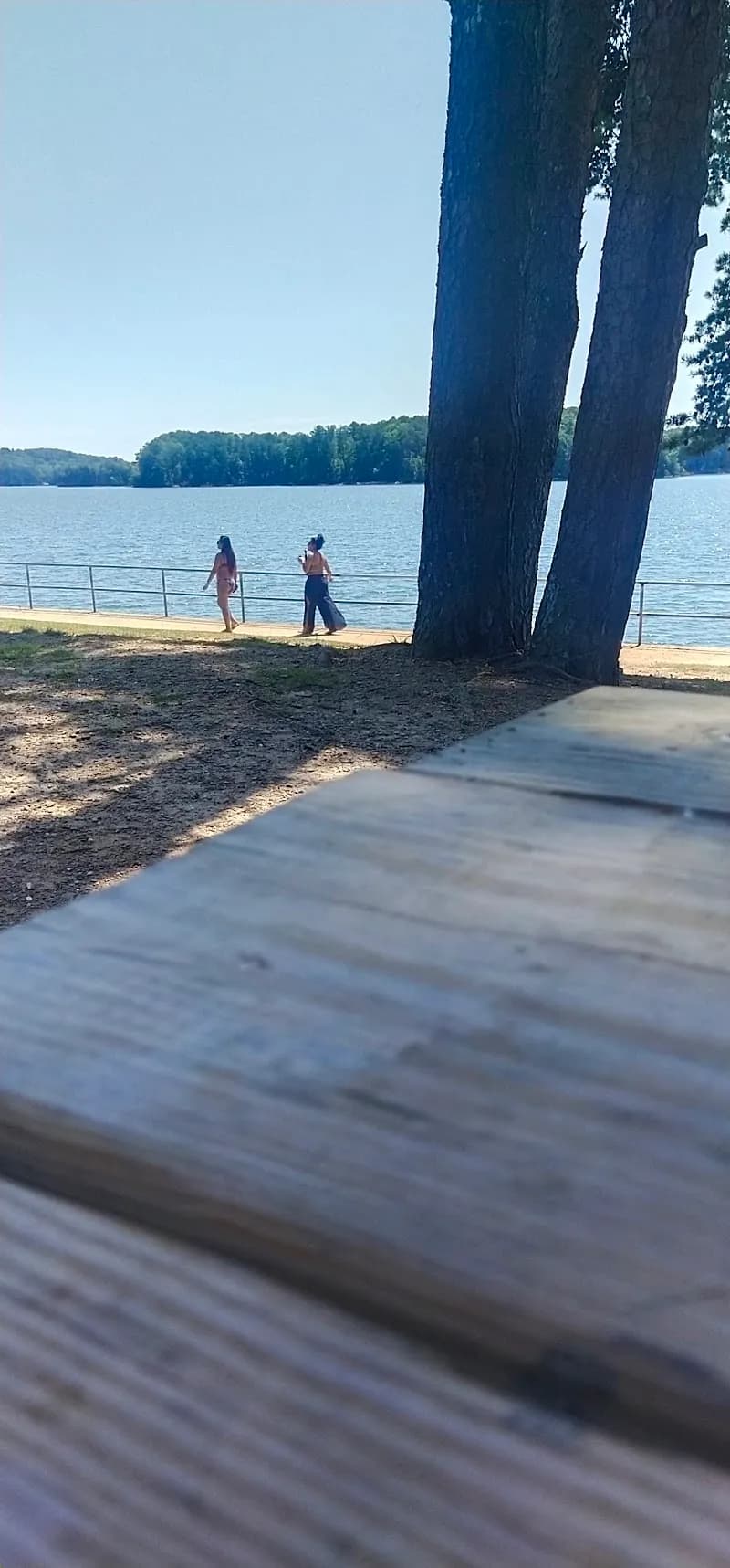 View of Mary Alice Park Beach in Cumming, GA