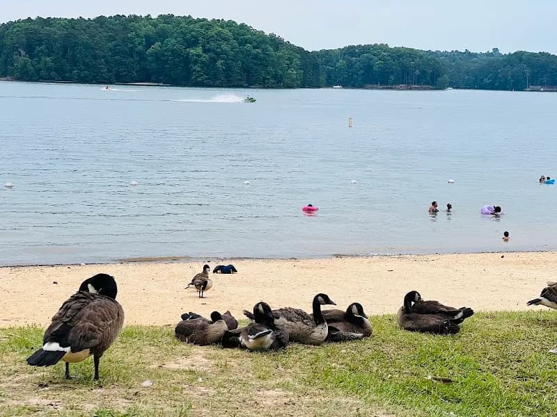 View of Mary Alice Park Beach in Cumming, GA