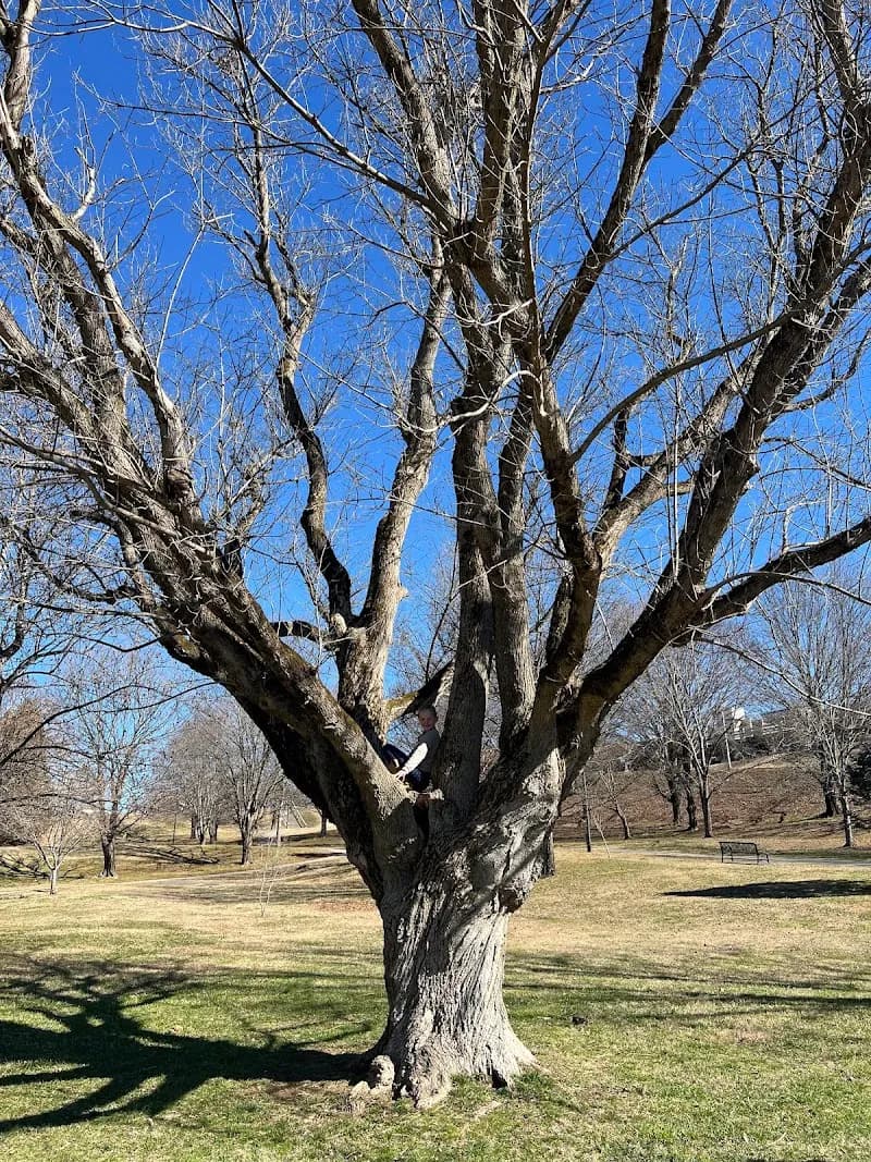 View of Maryville Alcoa Greenway park in Alcoa, TN