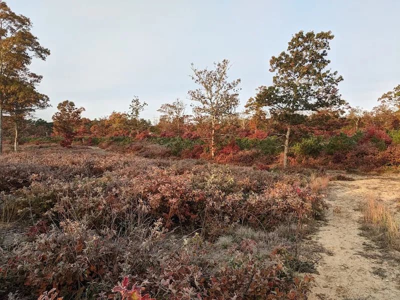 Mashpee National Wildlife Refuge wildlife refuge in Cape Cod, MA