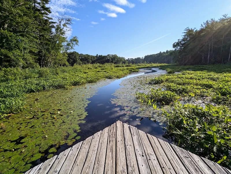 View of Mass Audubon's Broadmoor Wildlife Sanctuary in Natick, MA
