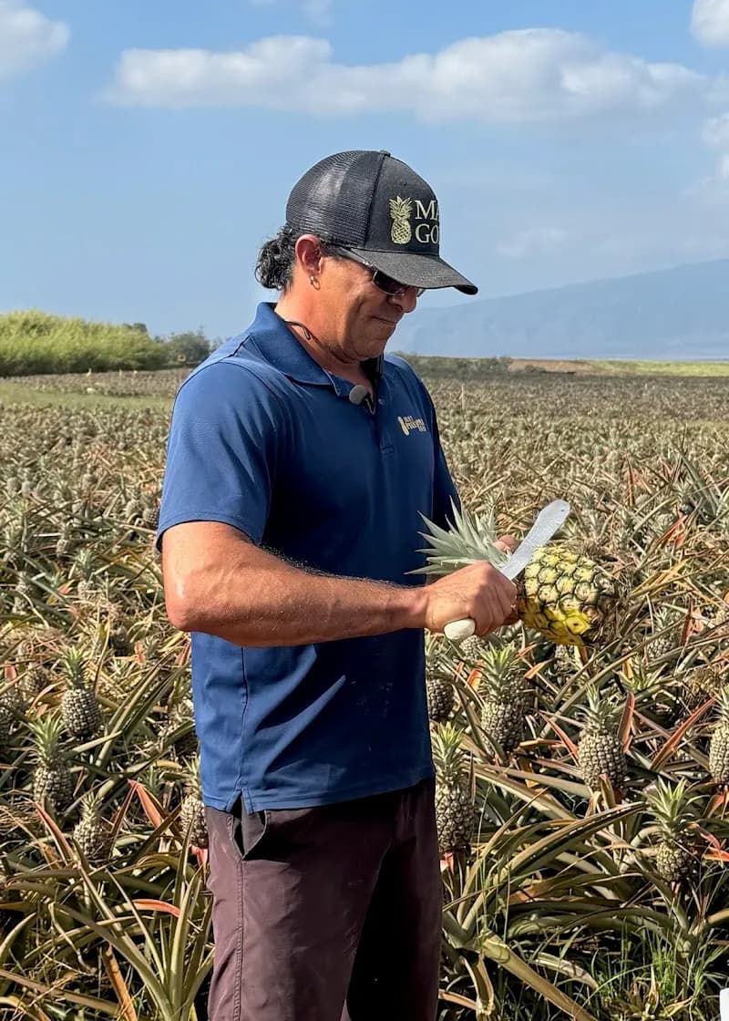 View of Maui Pineapple Tour in Maui, HI