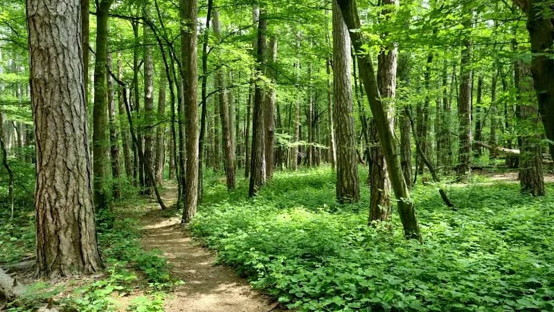 View of Maurerwald in Liesing, VIE