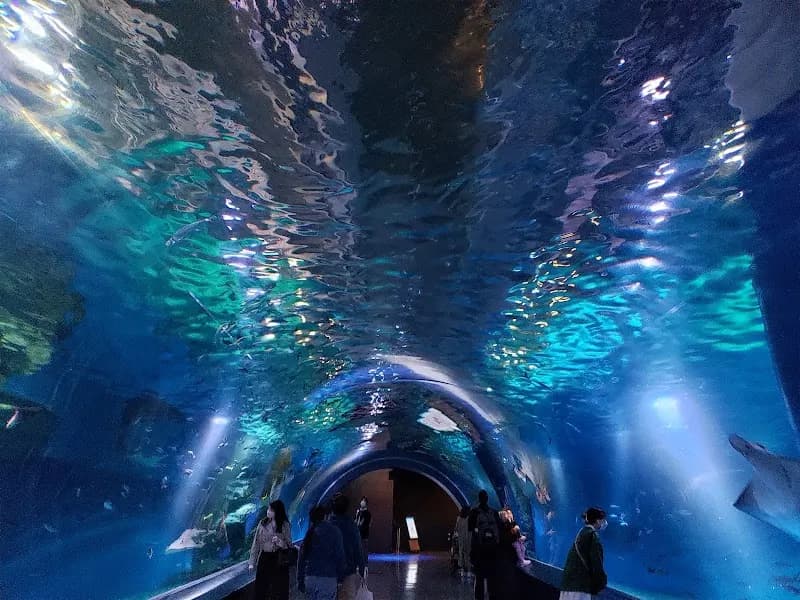 Maxell Aqua Park Shinagawa aquarium in Setagaya, Tokyo