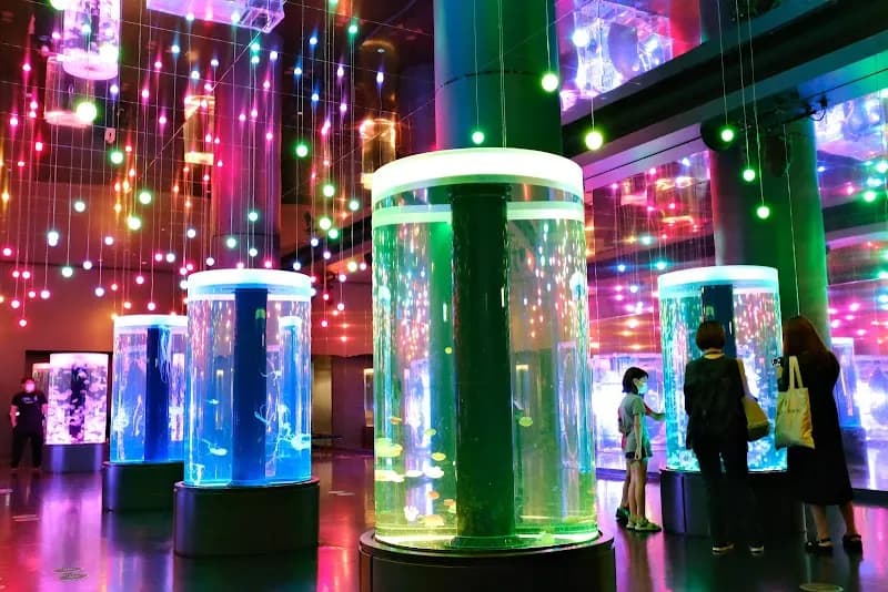 View of Maxell Aqua Park Shinagawa in Setagaya, Tokyo