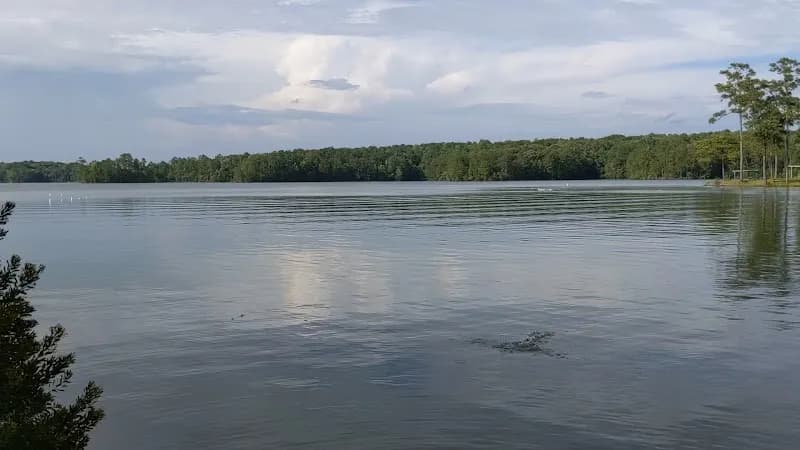 View of Maxwell-Gunter AFB Lake Martin Recreation Area in Clanton, AL