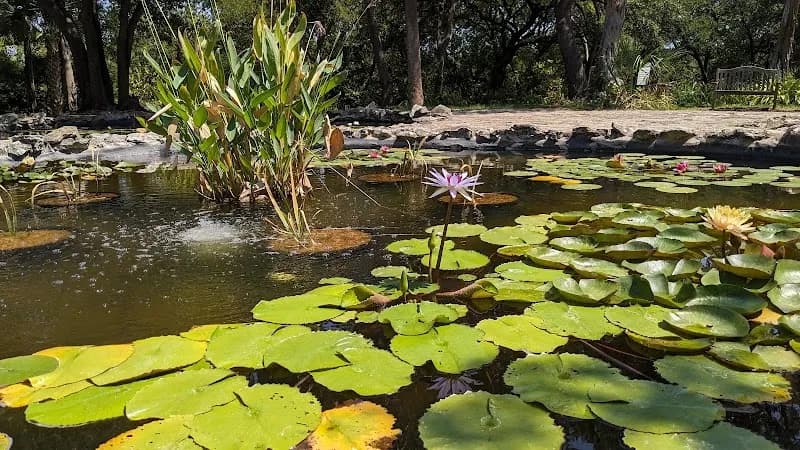 View of Mayfield Park and Nature Preserve in Round Rock, TX
