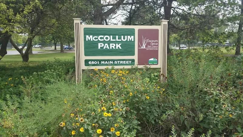 View of McCollum Park in Downers Grove, IL