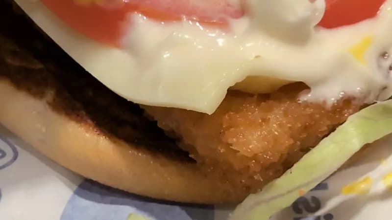 View of McDonald's in Chessy, IDF