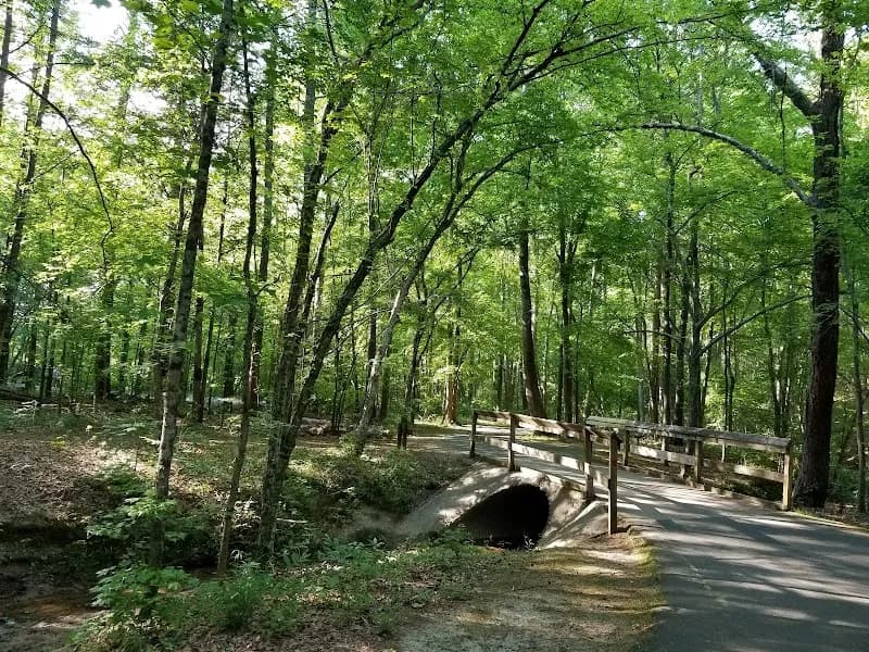 View of McDowell Nature Preserve in Charlotte, NC