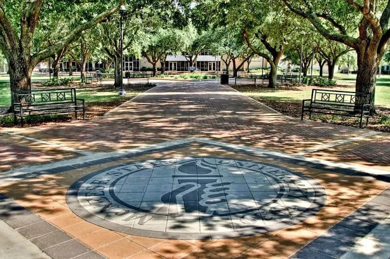 McNeese State University university in Lake Charles, LA