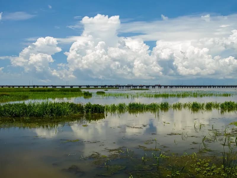 View of Meaher State Park in Mobile, AL