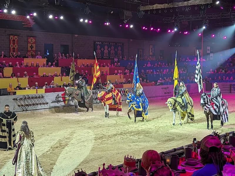 View of Medieval Times Dinner & Tournament in Dallas, TX