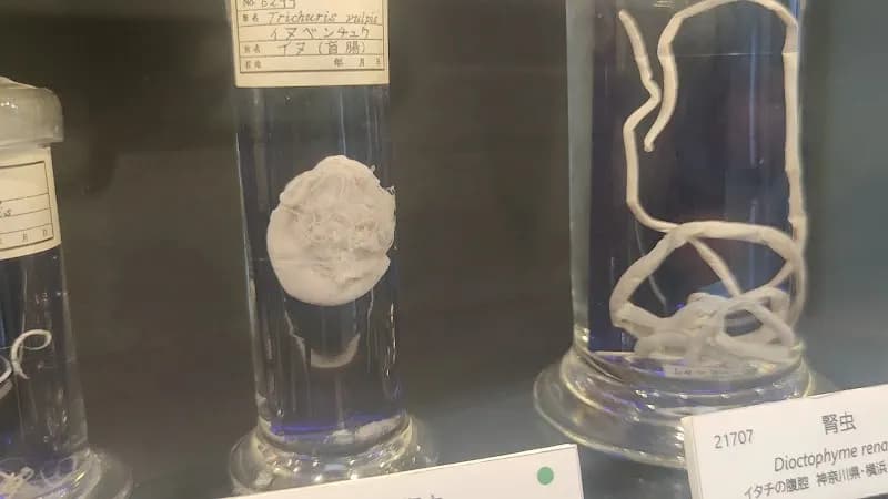 View of Meguro Parasitological Museum in Meguro, Tokyo